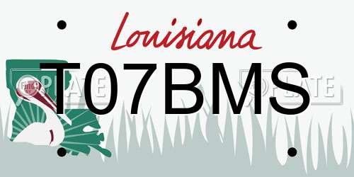 T07BMS Louisiana License Plate
