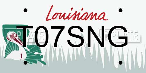 T07SNG Louisiana License Plate