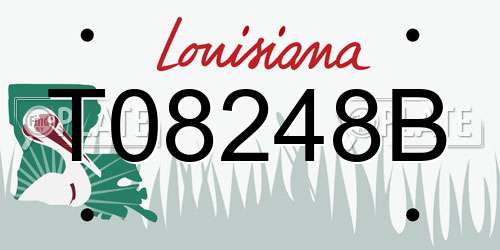 T08248B Louisiana License Plate