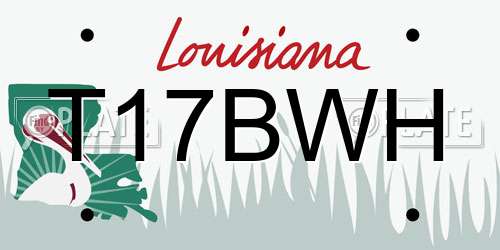 T17BWH Louisiana License Plate