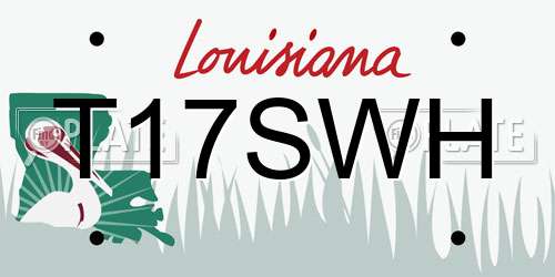 T17SWH Louisiana License Plate
