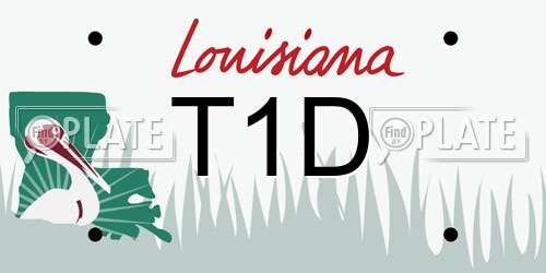 T1D Louisiana License Plate