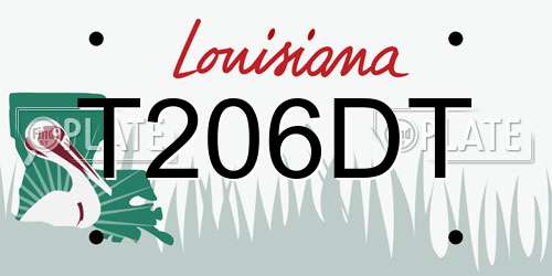 T206DT Louisiana License Plate