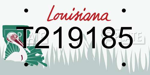 T219185 Louisiana License Plate