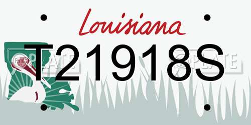 T21918S Louisiana License Plate