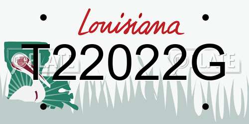 T22022G Louisiana License Plate