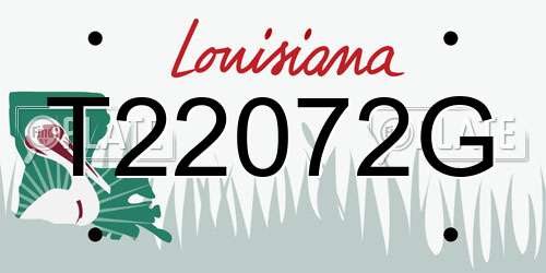 T22072G Louisiana License Plate