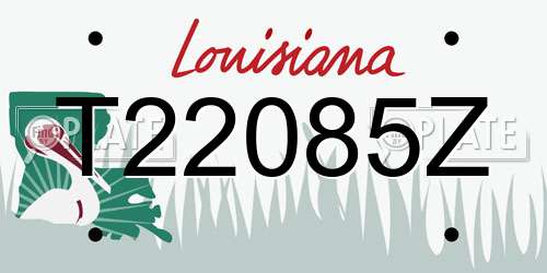 T22085Z Louisiana License Plate