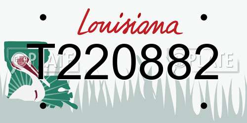 T220882 Louisiana License Plate