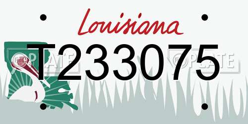 T233075 Louisiana License Plate