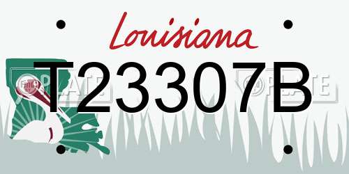 T23307B Louisiana License Plate