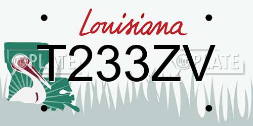 T233ZV Louisiana License Plate