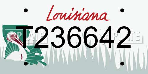 T236642 Louisiana License Plate