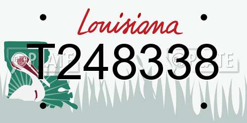 T248338 Louisiana License Plate