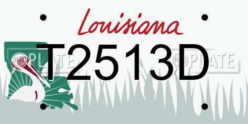 T2513D Louisiana License Plate