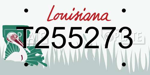 T255273 Louisiana License Plate
