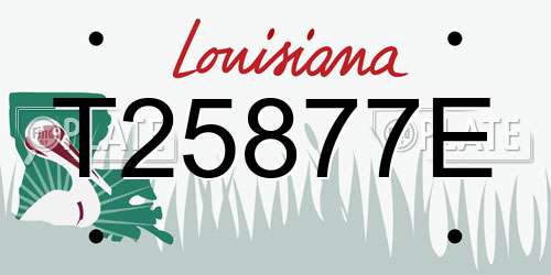 T25877E Louisiana License Plate