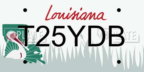 T25YDB Louisiana License Plate