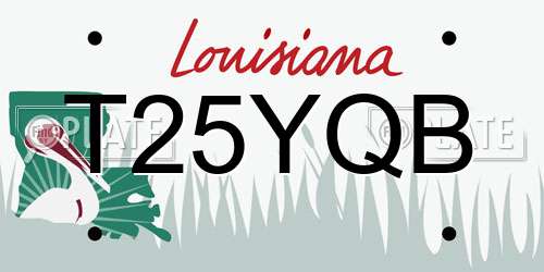 T25YQB Louisiana License Plate