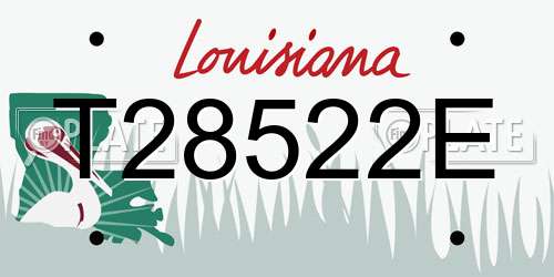 T28522E Louisiana License Plate