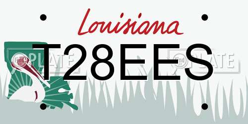 T28EES Louisiana License Plate