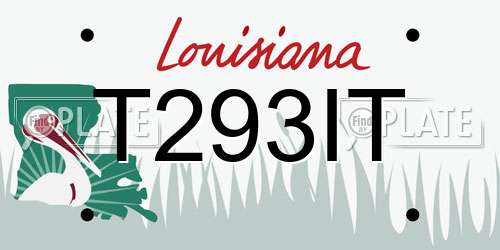 T293IT Louisiana License Plate
