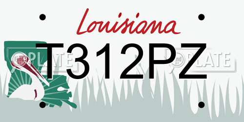 T312PZ Louisiana License Plate