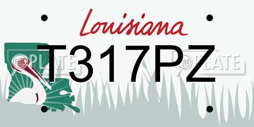 T317PZ Louisiana License Plate