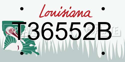 T36552B Louisiana License Plate