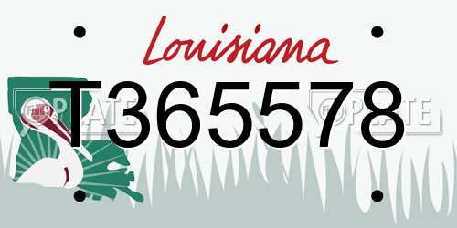 T365578 Louisiana License Plate