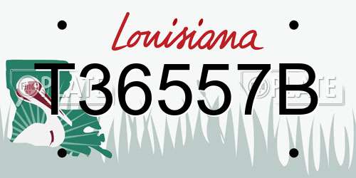 T36557B Louisiana License Plate