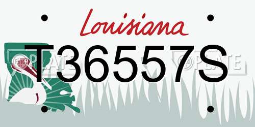 T36557S Louisiana License Plate