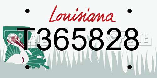 T365828 Louisiana License Plate