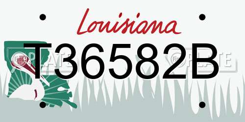 T36582B Louisiana License Plate