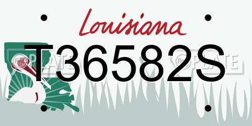 T36582S Louisiana License Plate
