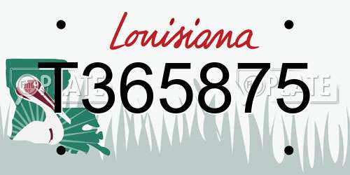 T365875 Louisiana License Plate