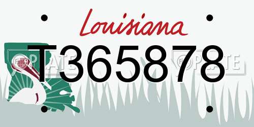 T365878 Louisiana License Plate