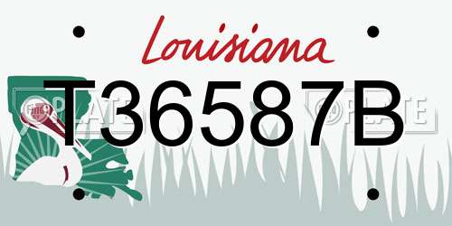 T36587B Louisiana License Plate