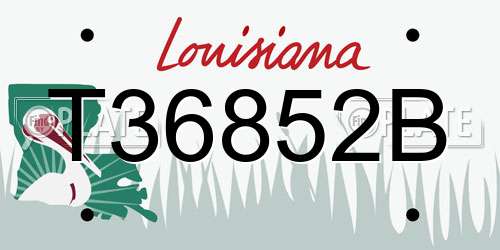T36852B Louisiana License Plate