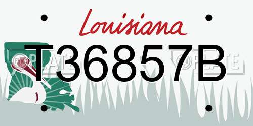 T36857B Louisiana License Plate