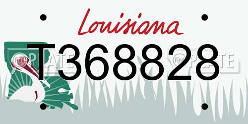 T368828 Louisiana License Plate