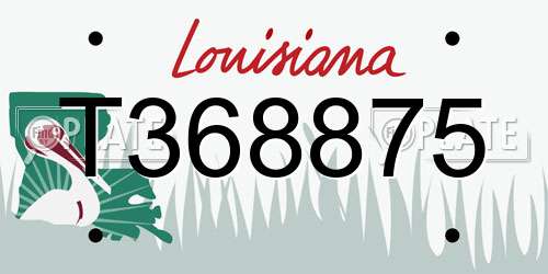 T368875 Louisiana License Plate