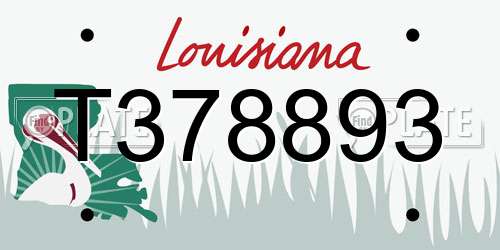 T378893 Louisiana License Plate
