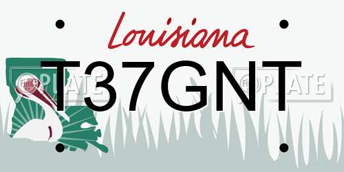 T37GNT Louisiana License Plate