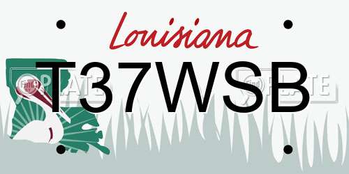 T37WSB Louisiana License Plate