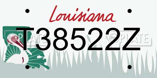 T38522Z Louisiana License Plate