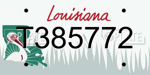 T385772 Louisiana License Plate