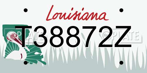 T38872Z Louisiana License Plate