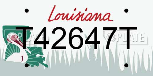 T42647T Louisiana License Plate