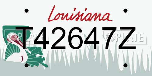 T42647Z Louisiana License Plate